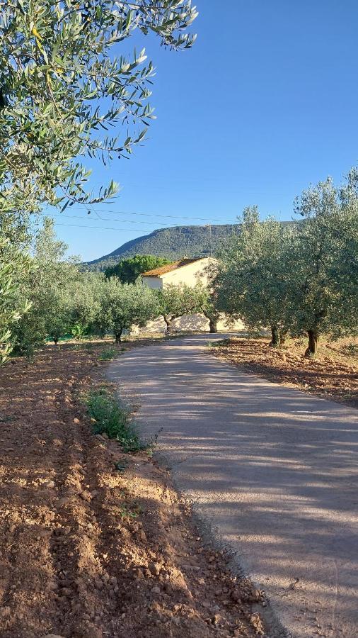 Casa Rural Cal Marti El Pla de Manlleu Kültér fotó