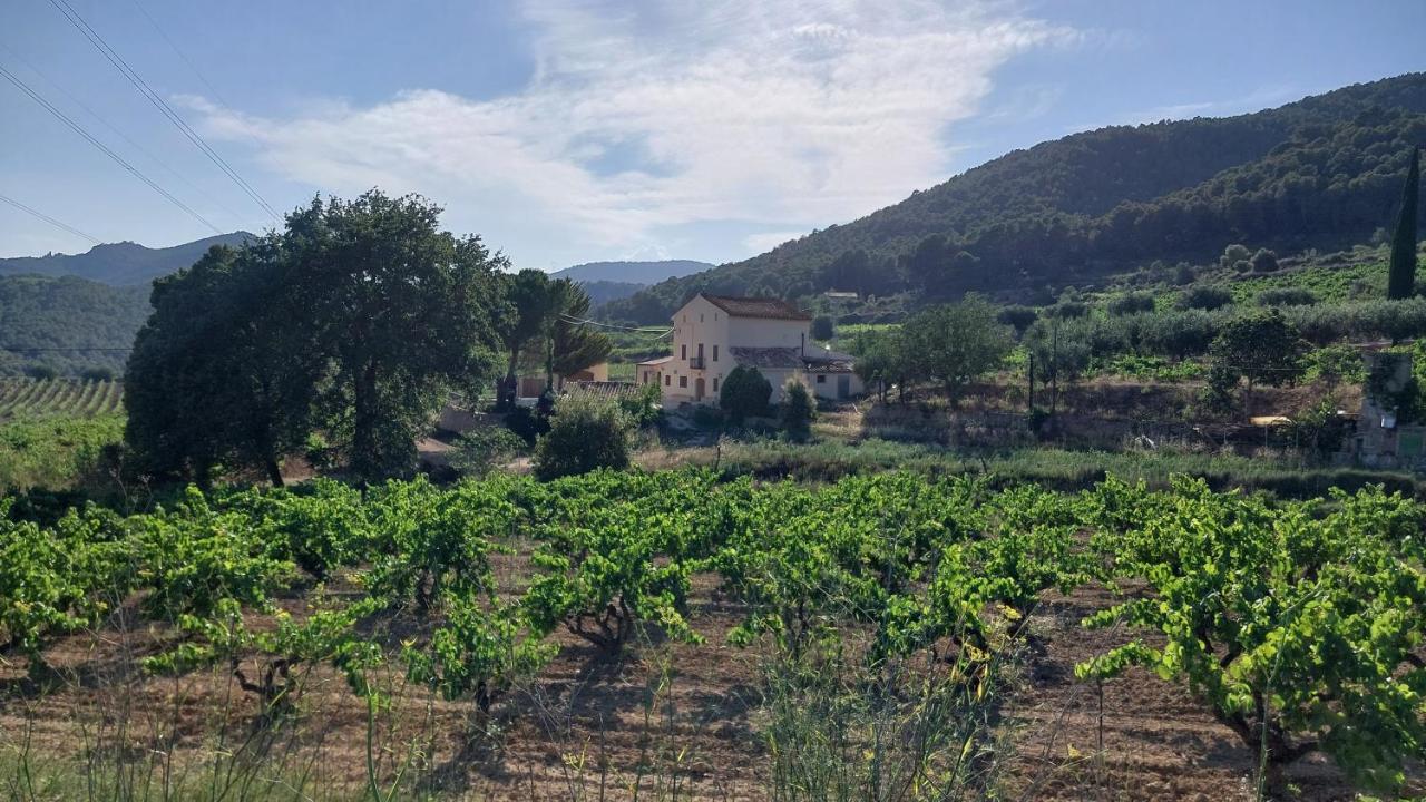 Casa Rural Cal Marti El Pla de Manlleu Kültér fotó