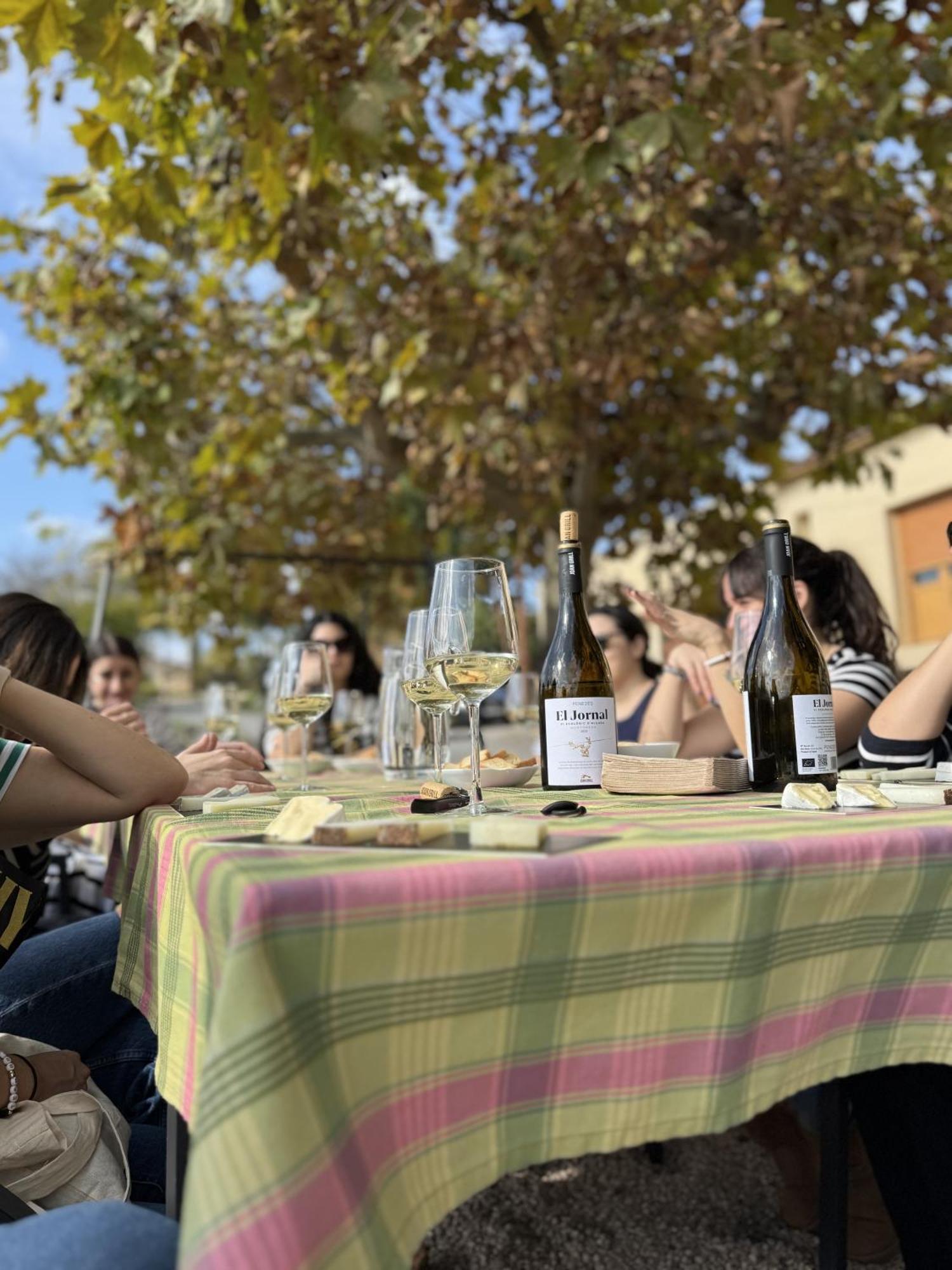 Casa Rural Cal Marti El Pla de Manlleu Kültér fotó